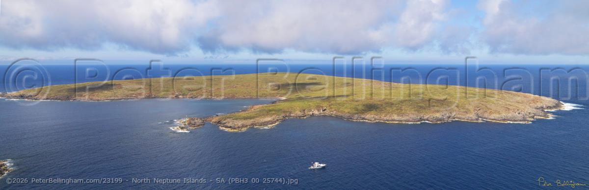 Peter Bellingham Photography North Neptune Islands - SA (PBH3 00 25744).jpg